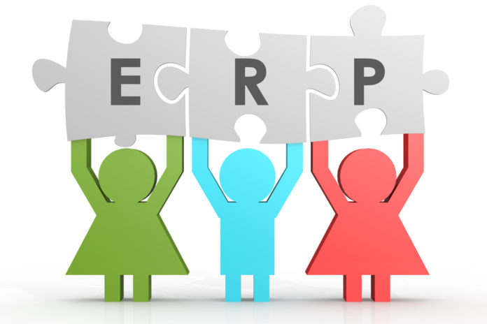 ERP - Enterprise Resource Planning puzzle in a line
