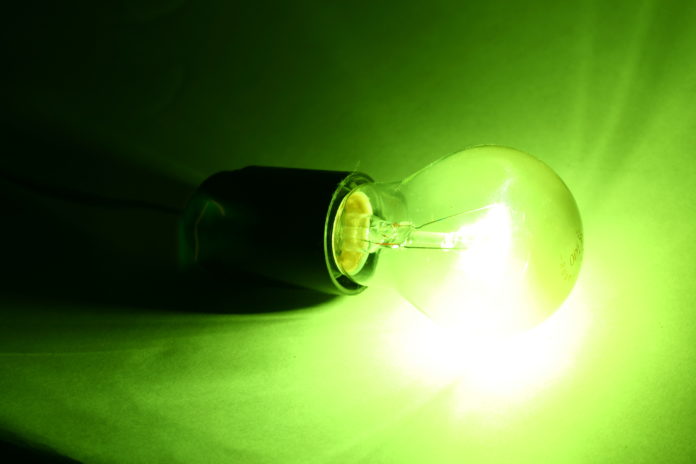 bulb