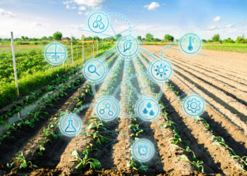 Kit Digital - Revista Pymes - TAI Editorial - España